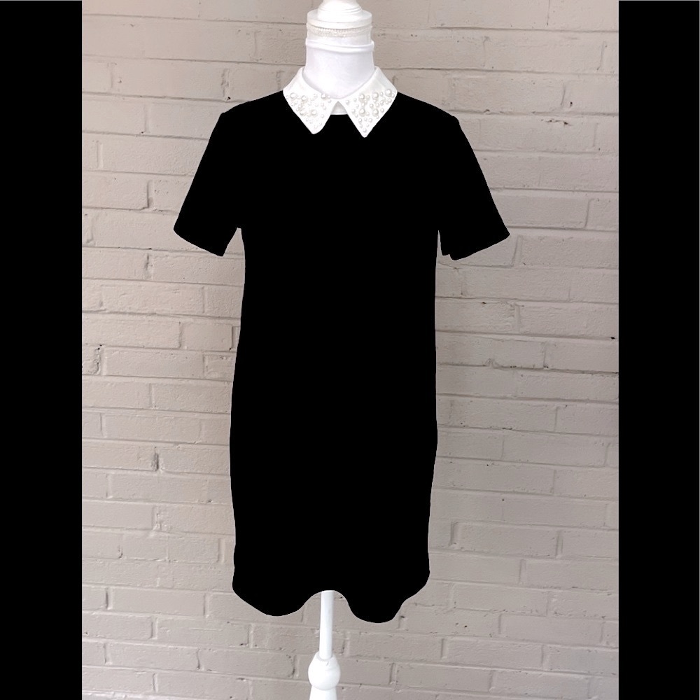 Zara NWOT Black dress white pearl collar